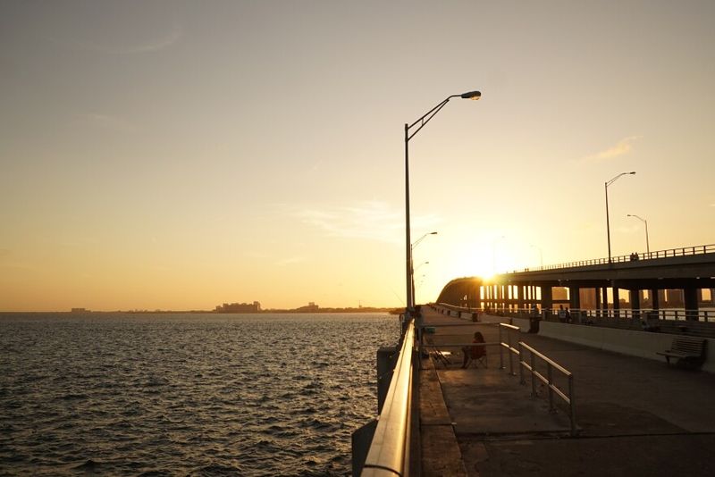 Join A Midnight Fishing Session Off Rickenbacker Causeway
