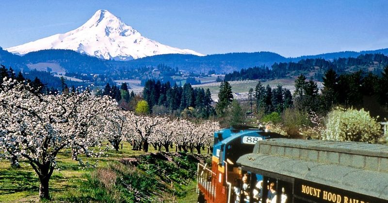 Breathtaking Mount Hood Views That Make You Gasp