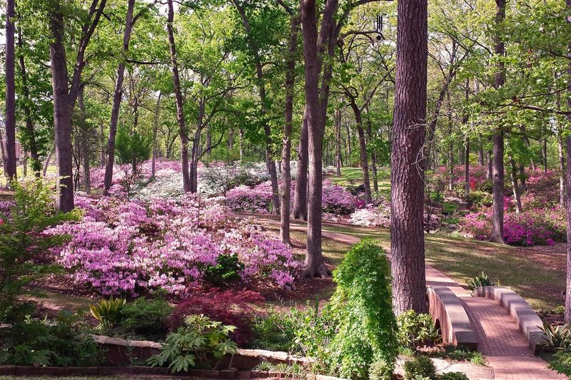 Stroll Through R.W. Norton Art Gallery & Gardens