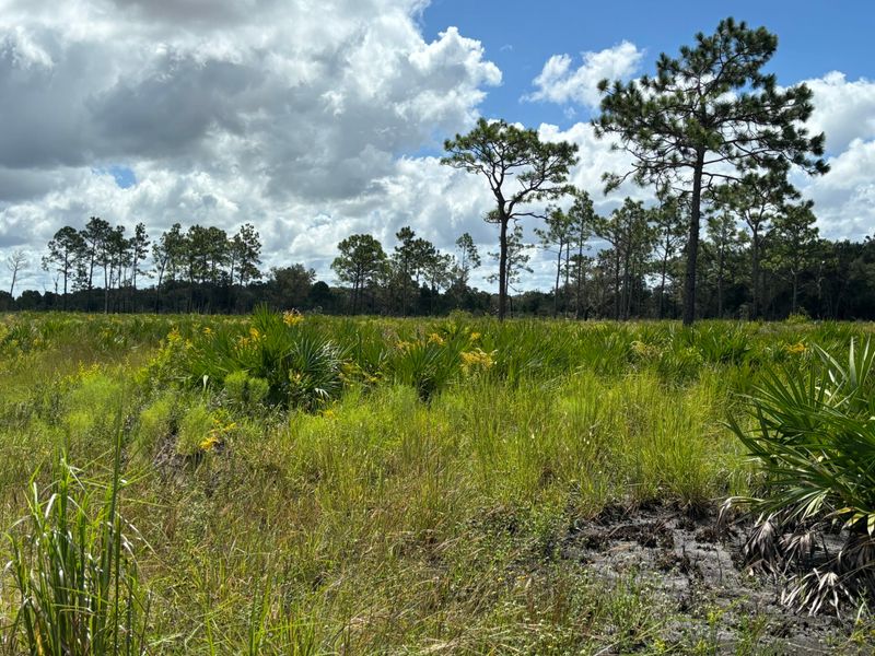Duette Preserve (Manatee County)