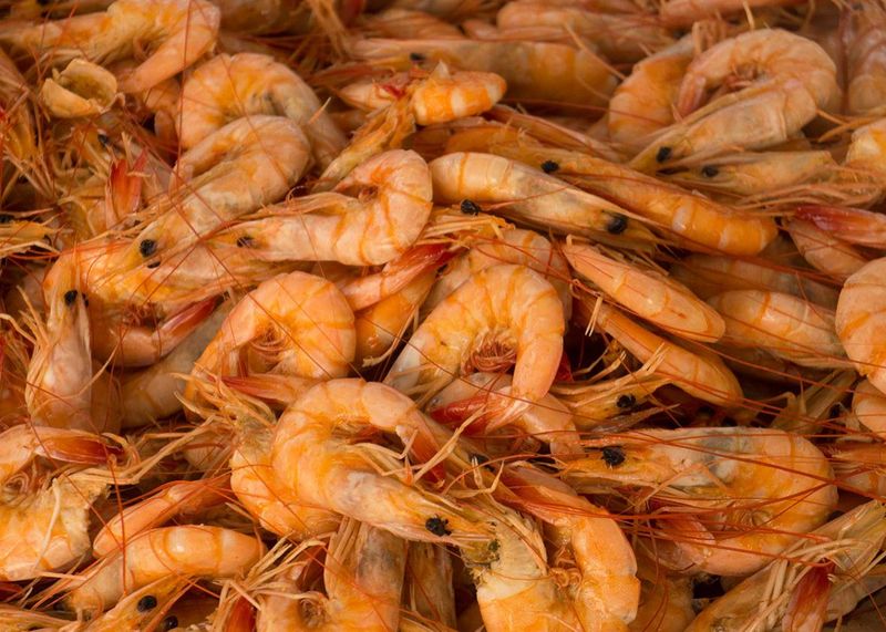 Morgan City on the Atchafalaya With Shrimp and Crab Festivals