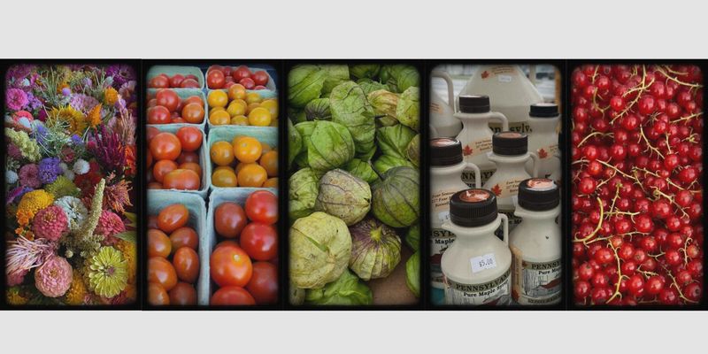 Somerset County Farmers Market (Somerset)