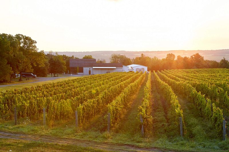 Hermann J. Wiemer Vineyard (Keuka/Seneca area)
