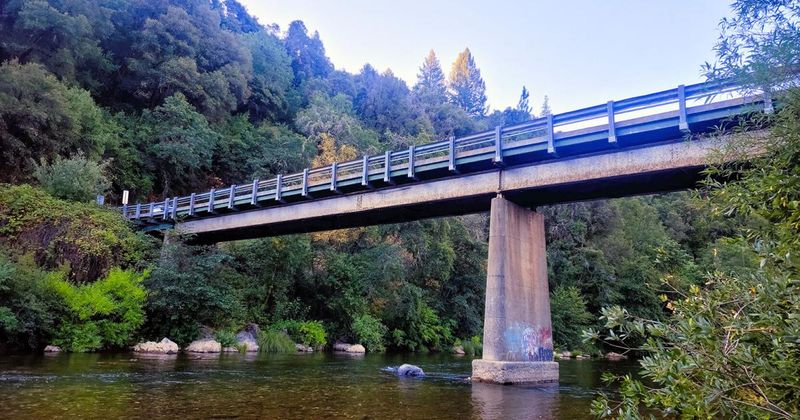 Dog Bar Bridge: The Howling Crossing