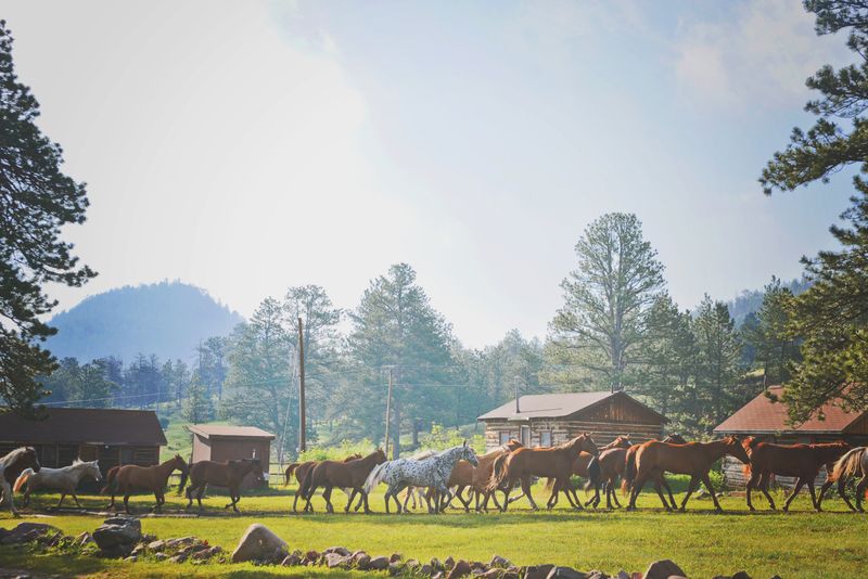 Cherokee Park Ranch: Heritage Among The Pines