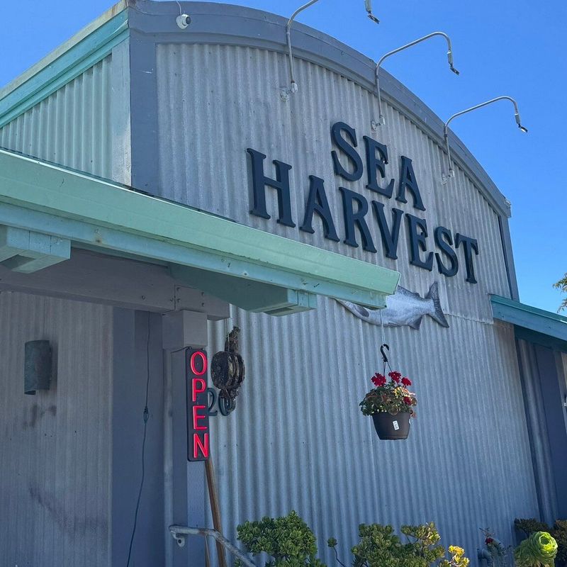 The Sea Harvest in Moss Landing: Wharf-Side Seafood with Local Flavor