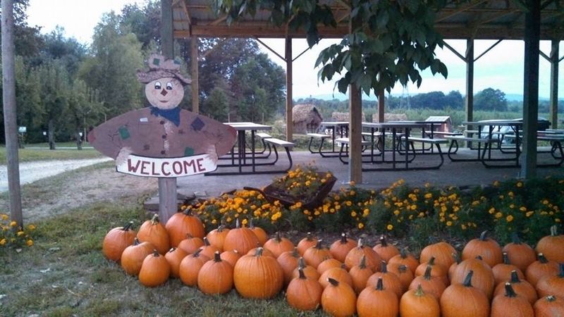 Hurd's Family Farm: Storybook Setting with Adventure
