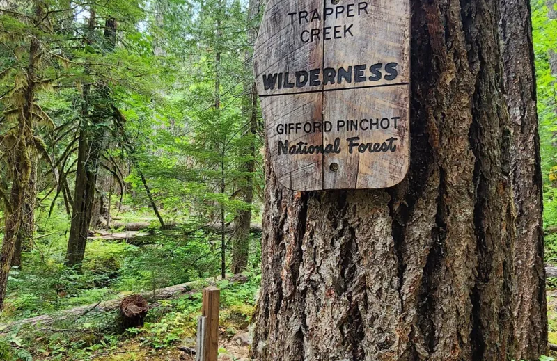Trapper Creek Wilderness: Mountain Wildlife Haven