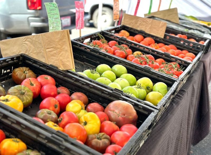 Evergreen Farmers’ Market