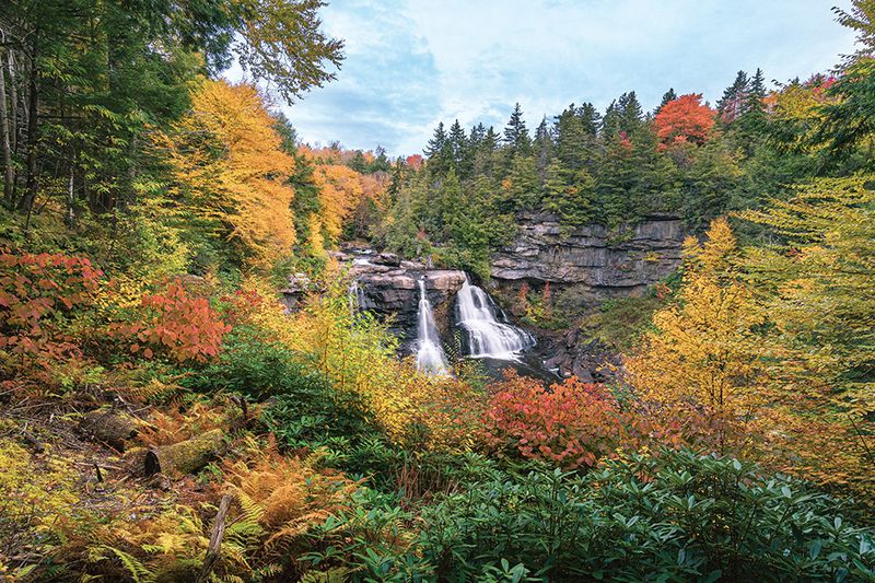 Blackwater Canyon Fall Foliage Special