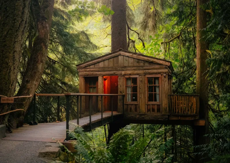 TreeHouse Point (Issaquah)