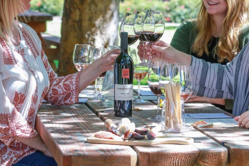 27th Annual Wine & Food Affair, Sonoma County