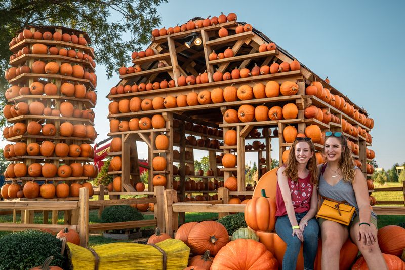 Yesterland Farm - Canton