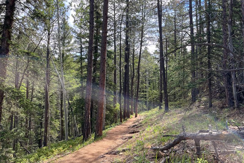 Lovell Gulch Trail: A Local Secret Worth Discovering