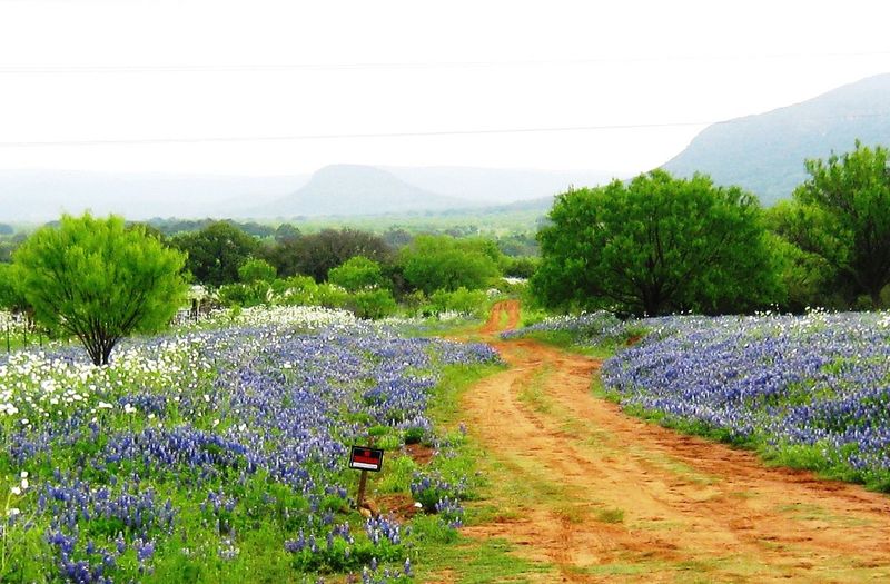 Willow City Loop: Hill Country's Famous Scenic Drive