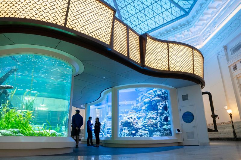 Underwater Wonders At Shedd Aquarium