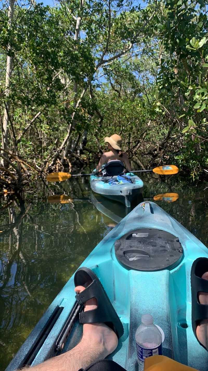 Lido Key's Cathedral Tunnels