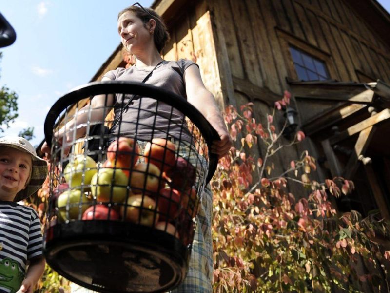Cedaredge Harvest Artisan Festival