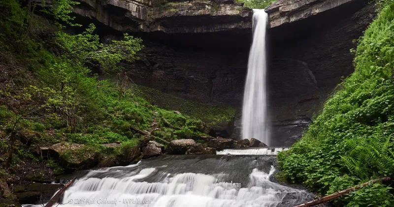 Carpenter Falls: The Forest's Hidden Jewel