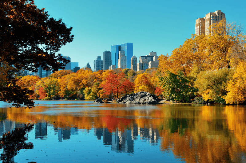 Central Park In New York City