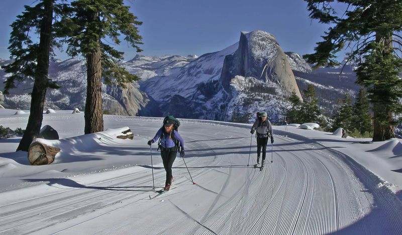 Thrilling Winter-Only Activities
