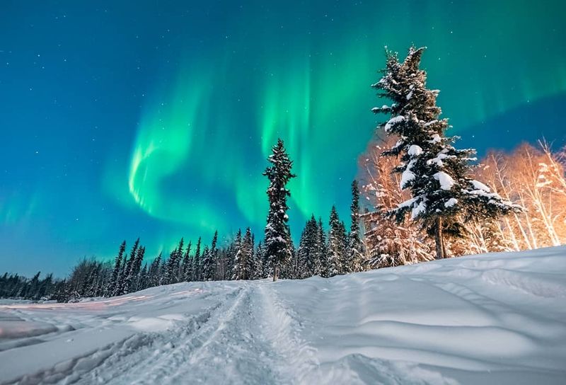 Chena Hot Springs Resort: Comfort Meets Cosmic Wonder