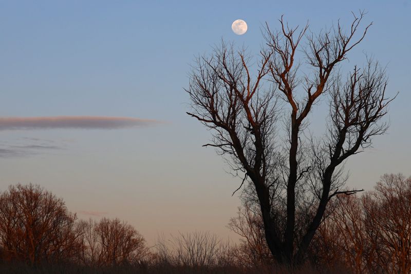 Enchanted Evening Under October's Full Moon