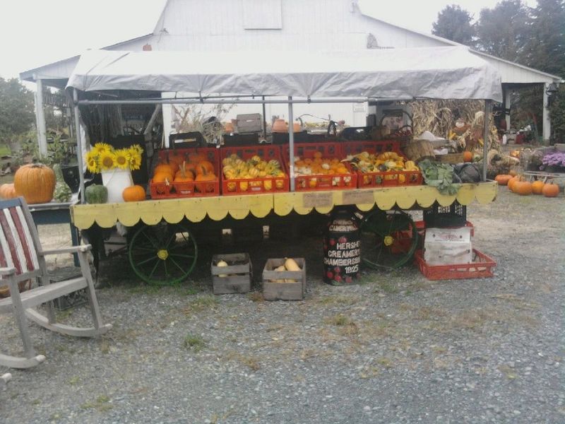 Autumn Sips at Emerald Cider Mill