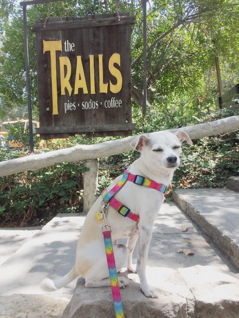 Outdoor-Only, Dog-Friendly Dining