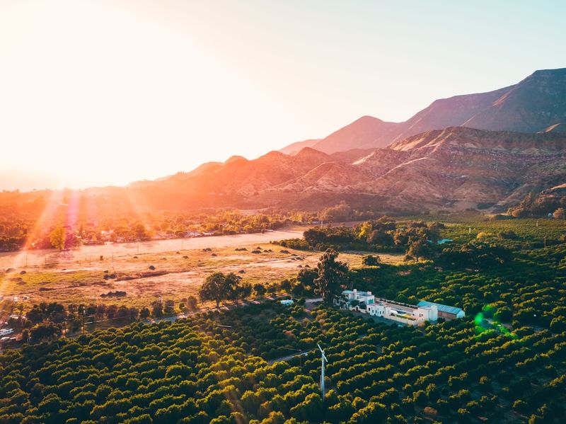 Ojai’s Artistic Retreat