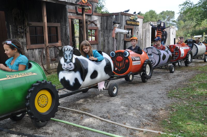 Kingsway Pumpkin Farm: Hartville's Time-Honored Tradition
