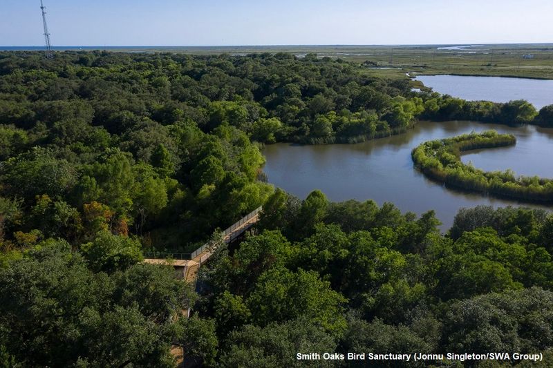 High Island: Beachfront Bird Sanctuary