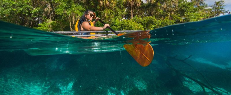 Rainbow Springs State Park: Crystal Waters and Waterfalls
