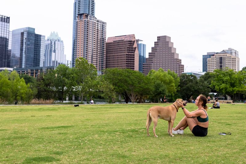 Auditorium Shores at Town Lake Metropolitan Park