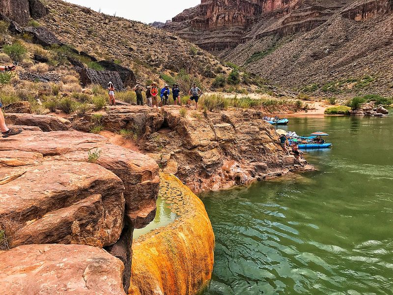 Pumpkin Spring's Toxic Beauty