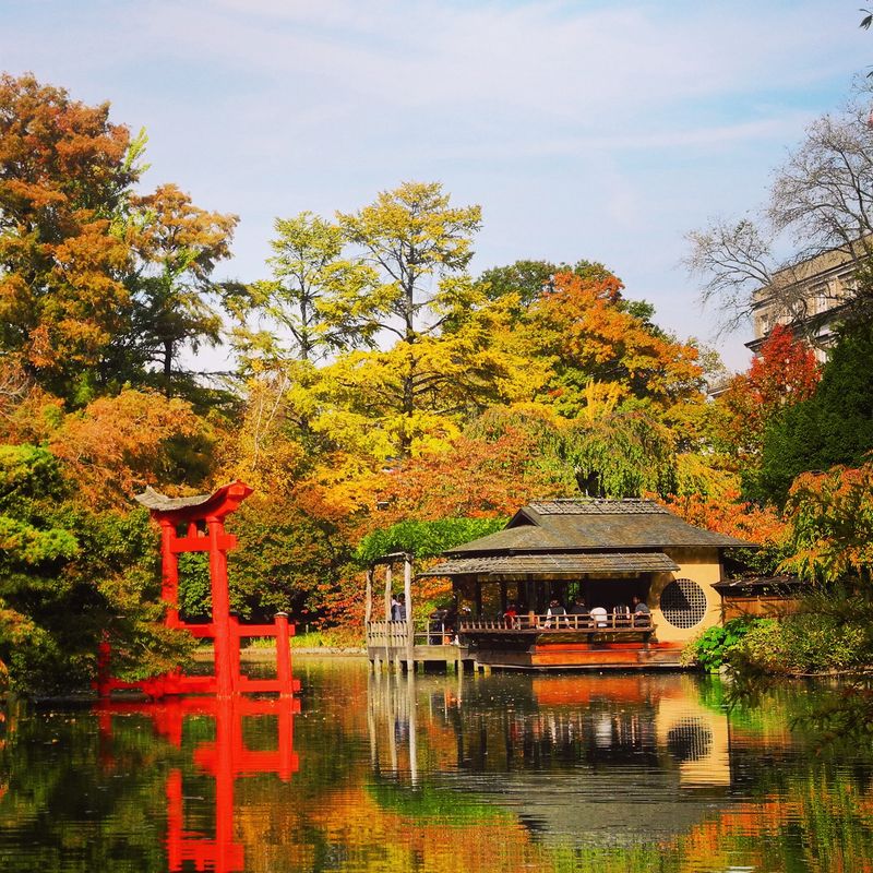 Brooklyn Botanic Garden's Free Morning Hours