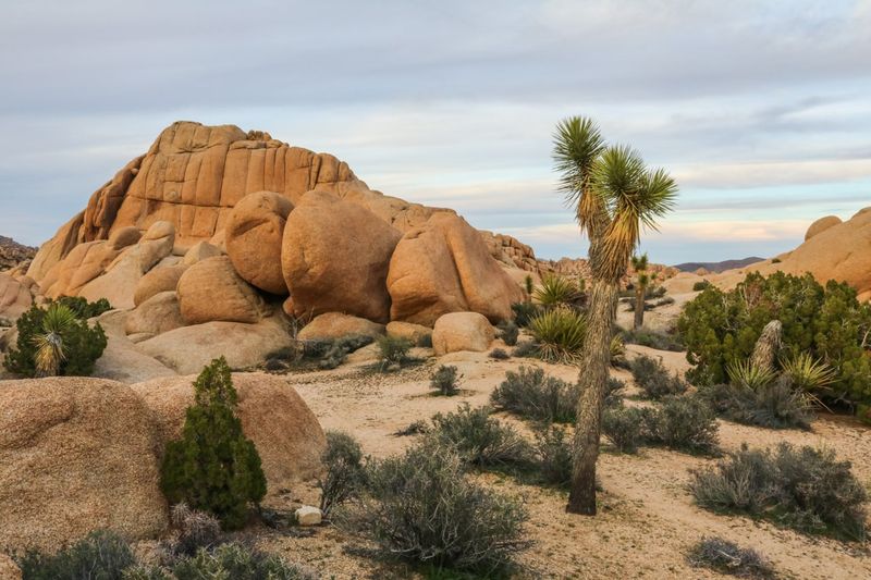 Diverse natural scenery