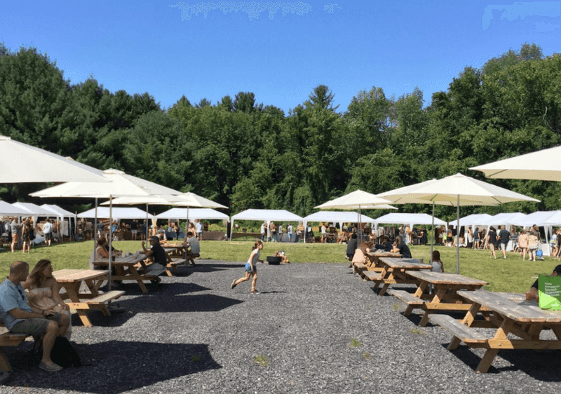 Phoenicia Flea