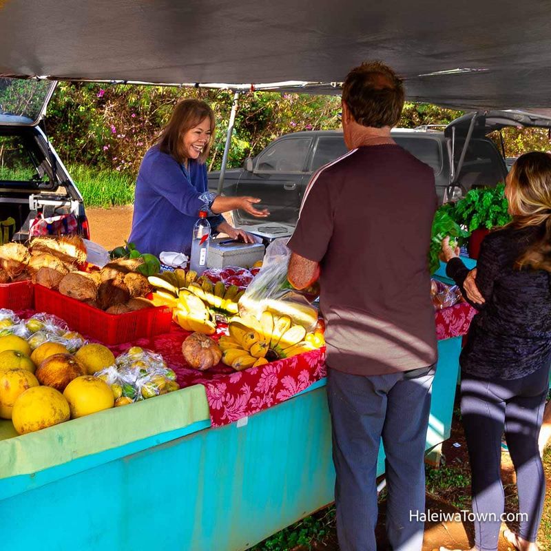 Farm Stand Grazing Tour