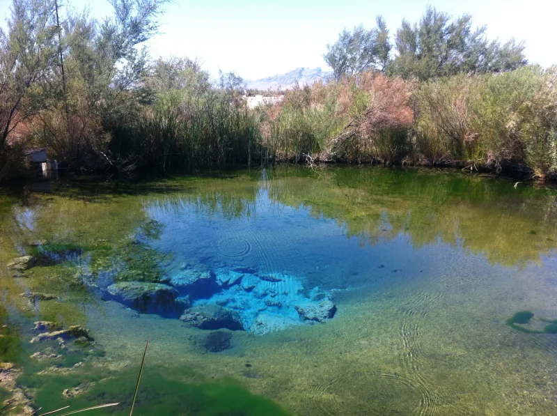 Ash Springs – Desert Oasis Paradise