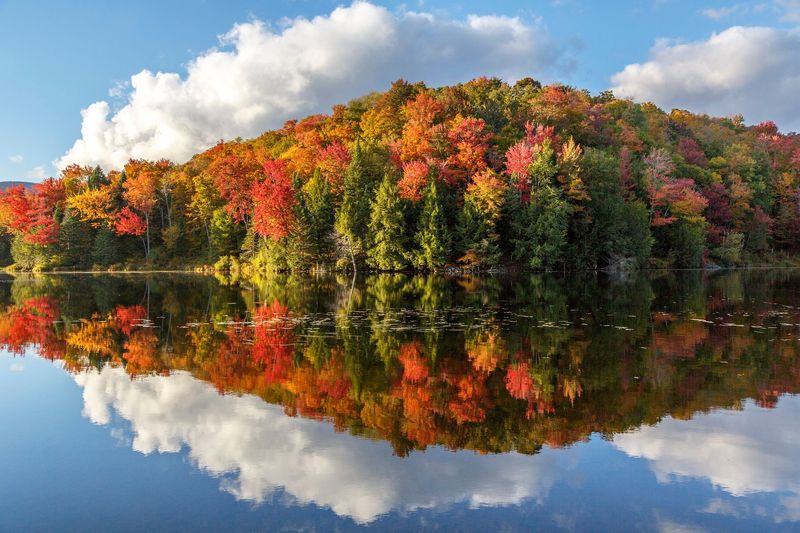 Middlebury