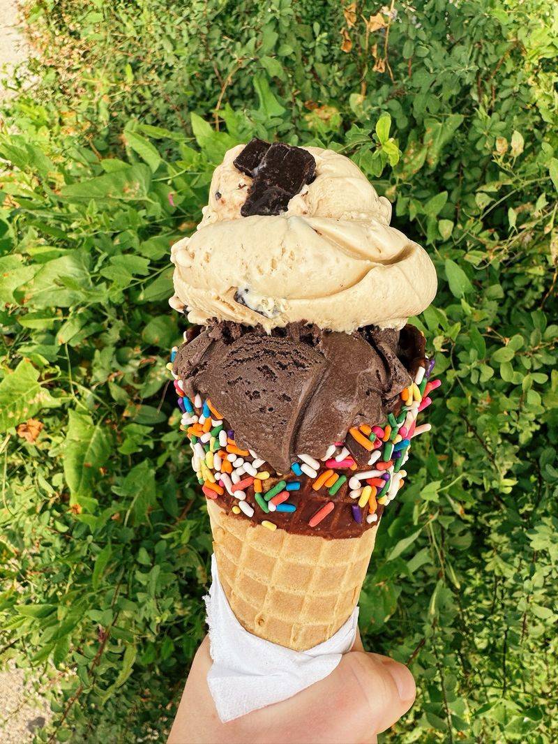 Licks Unlimited: North Shore's Frozen Treasure