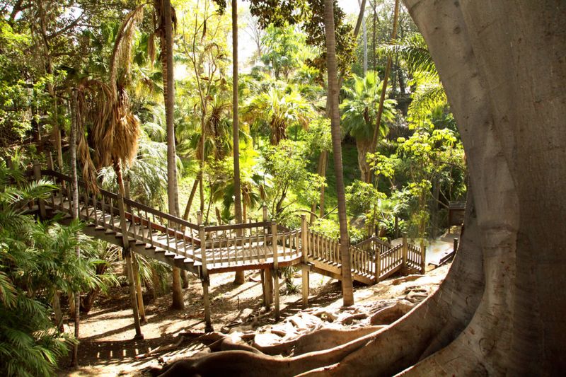 Balboa Park Mini-Oasis in San Diego
