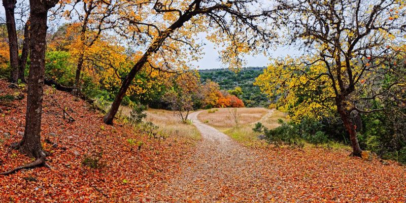 Autumn Paradise at Lost Maples
