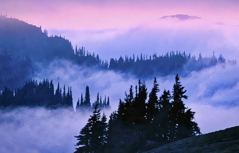 Morning Fog Hides Natural Wonders