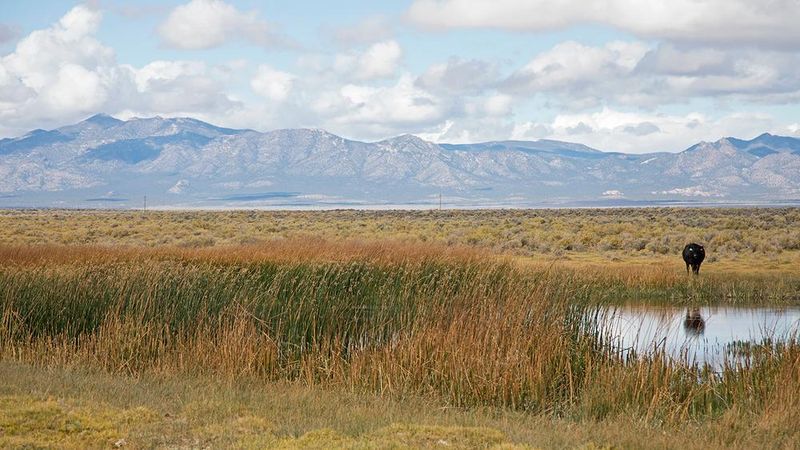 Kirch Wildlife Management Area