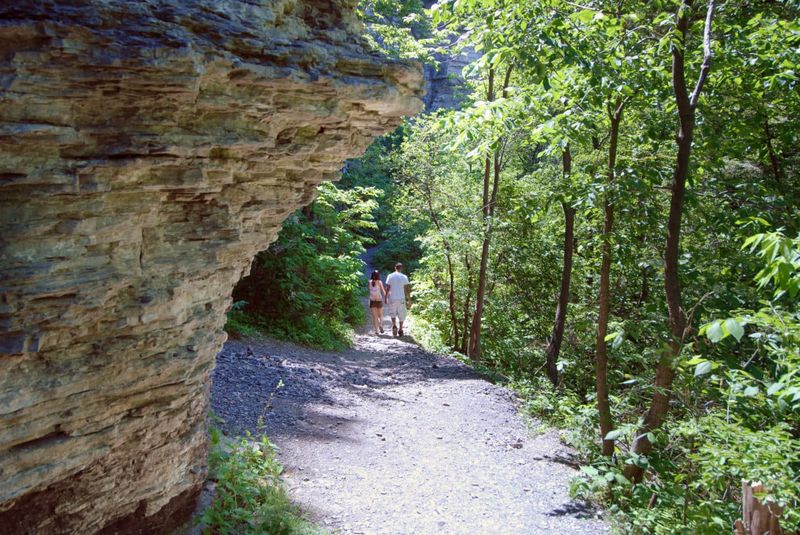 Thacher State Park: Woodland Paths Along Ancient Cliffs