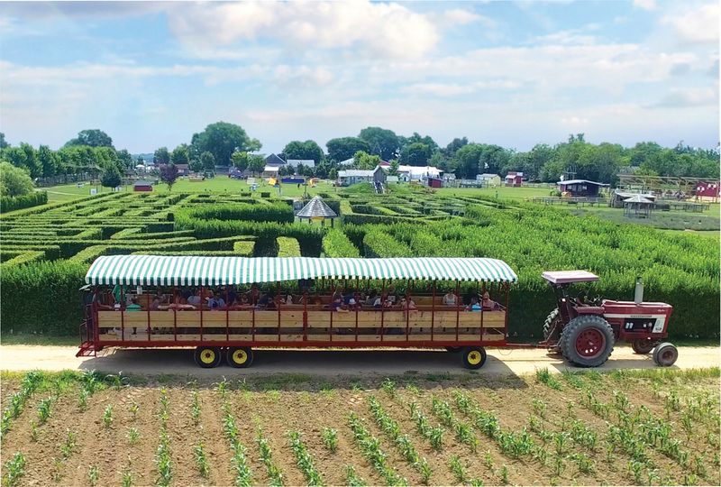 Harbe's Family Farm - Mattituck