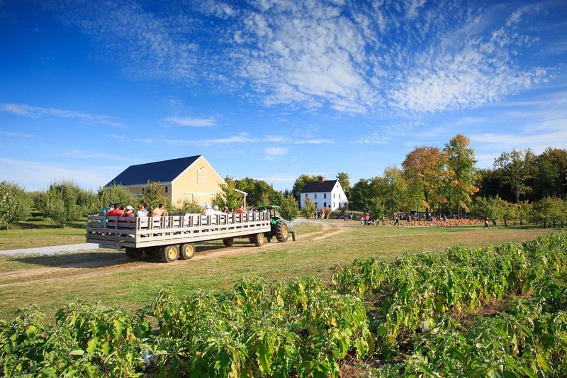 Dubois Farms: Rustic Elegance in Pumpkin Form