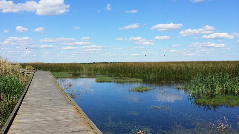 Anahuac National Wildlife Refuge, Coastal Texas